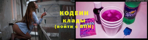 мдпв Карпинск