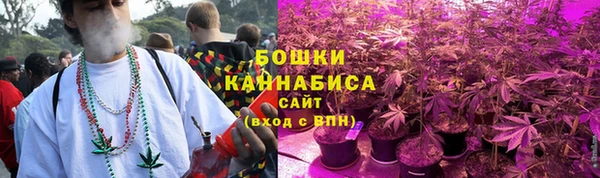 мдпв Карпинск