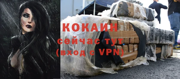мдпв Карпинск