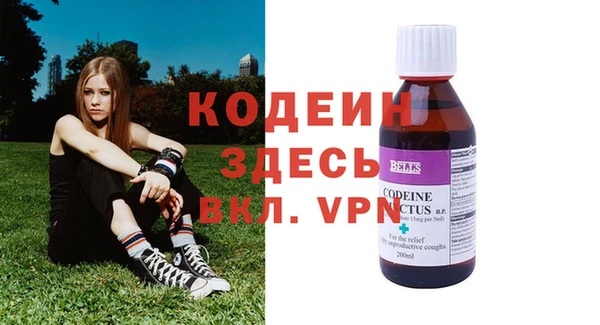 мдпв Карпинск