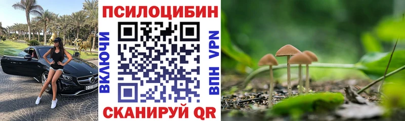 Купить Ишим Галлюциногенные грибы Psilocybe