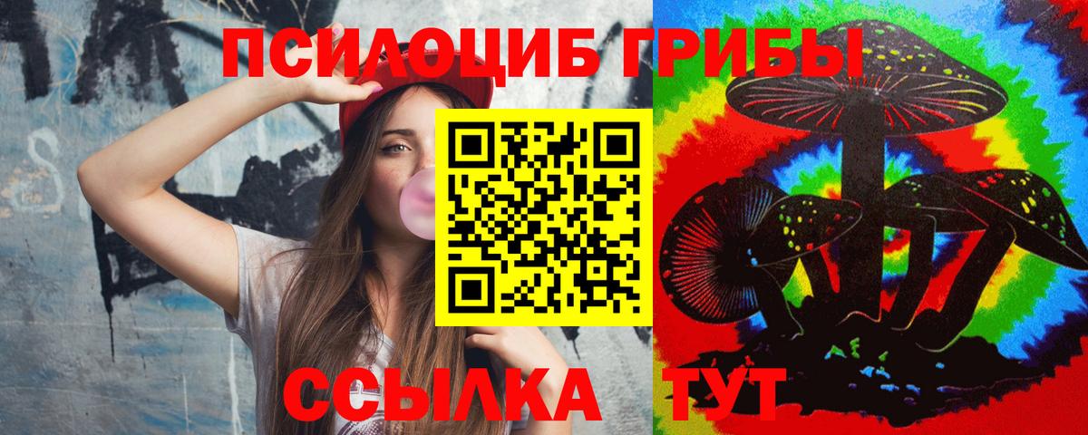 Галлюциногенные грибы Cubensis  Ишим 