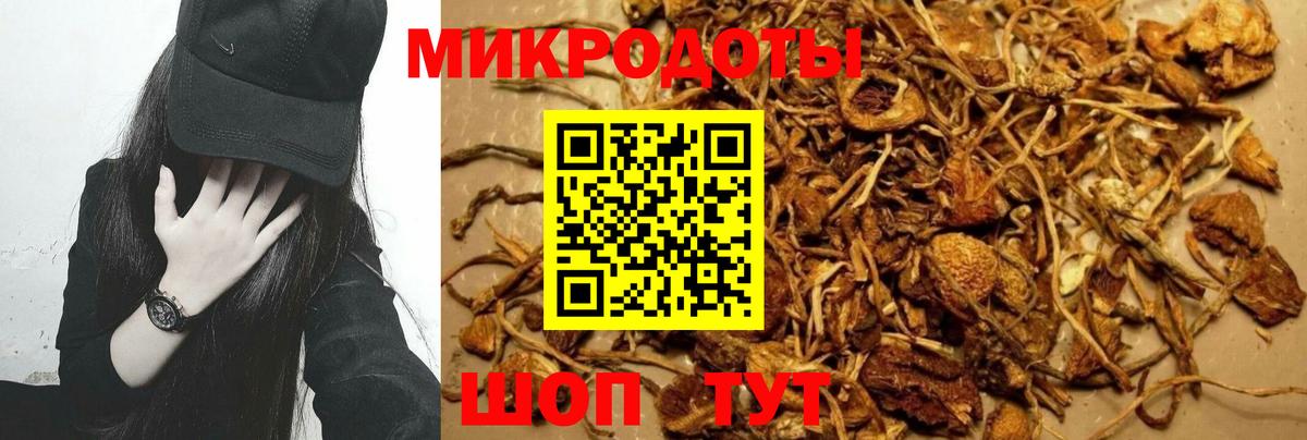 Галлюциногенные грибы Magic Shrooms Ишим