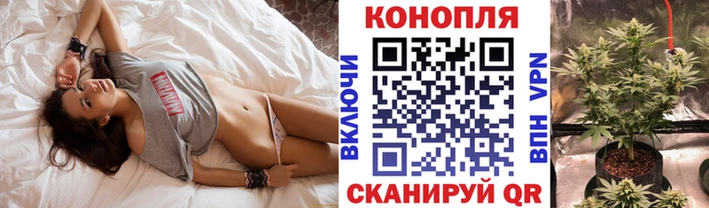 Купить где  Ишим  Шишки марихуана White Widow 